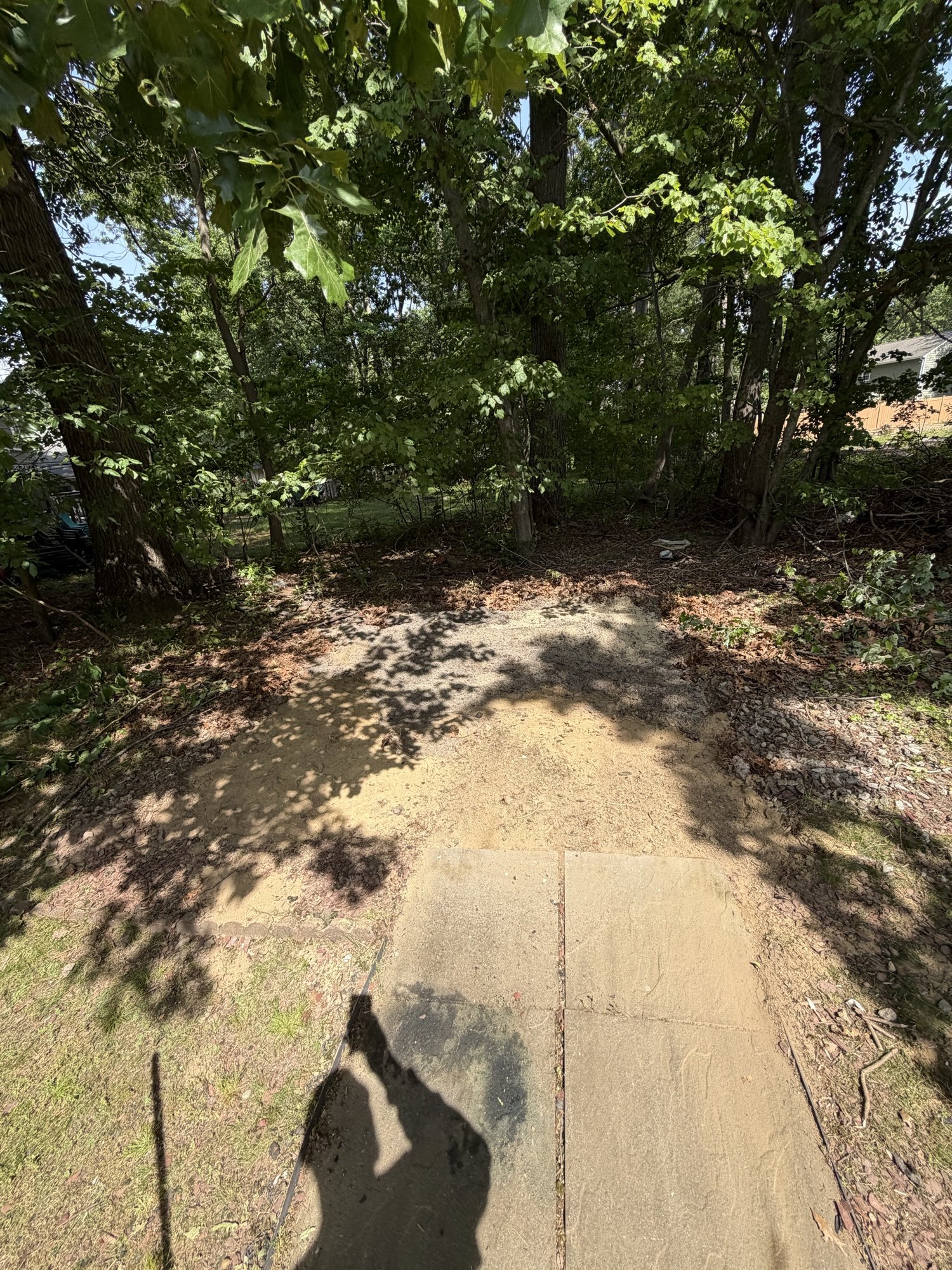 Same wooded area cleared with shed removed and new stone walkway