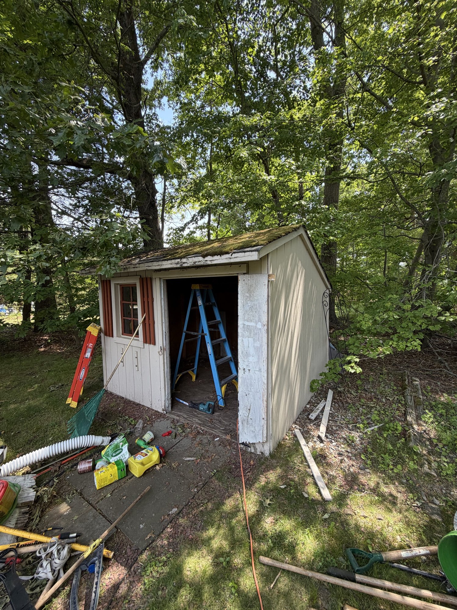 Old backyard storage shed cluttered with tools before removal
